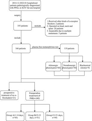 Influence of duration of preoperative treatment with phenoxybenzamine and secretory phenotypes on perioperative hemodynamics and postoperative outcomes in pheochromocytoma and paraganglioma